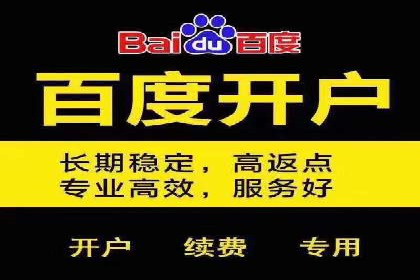 百度SEO推广案例解析与效果评估